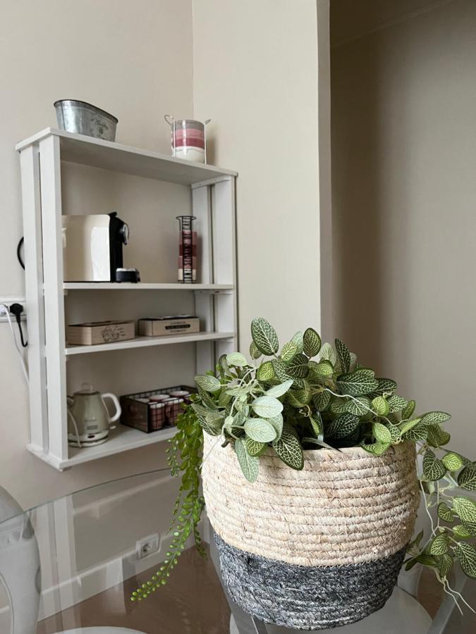 Maison La Balconata 帕爾馬 外观 照片